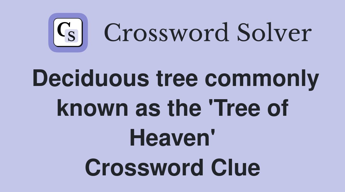 Deciduous tree commonly known as the 'Tree of Heaven' Crossword Clue